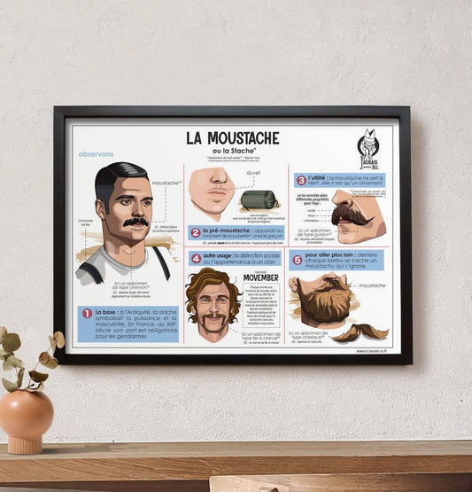 Si J'AURAIS - SU - Affiche La Moustache